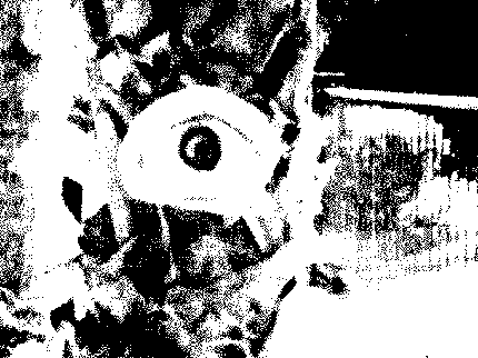 Amanda Siegel, 5pm Lossless